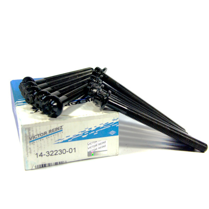 Комплект болтів ГБЦ (10 шт) Renault Kangoo II — 1.5 Dci (K9K). Victor Reinz Німеччина — 14-32230-01