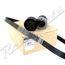 Комплект ременя генератора 117202495R (ремен+ролик) Renault Kangoo II / Mercedes-Benz Citan 2012- 1.5Dci (K9K)
