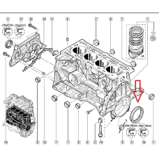 Сальник колінвала задній 80x100x8 Renault Captur — 1.5 dci K9K Elring 507.822 Німеччина
