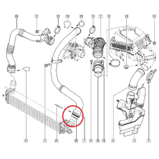 Ущільнювальне кільце патрубка інтеркулера Renault Laguna III- 1.5dci (k9k) +2.0dci (m9r) 7701068601 Оригінал